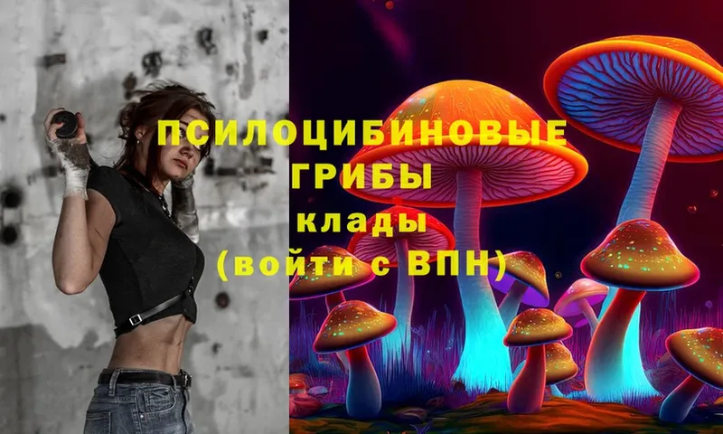 Псилоцибиновые грибы Psilocybe  закладка  Таганрог 